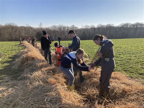 Plantation de 700 mètres de haies pour la biodiversité dans la ferme de