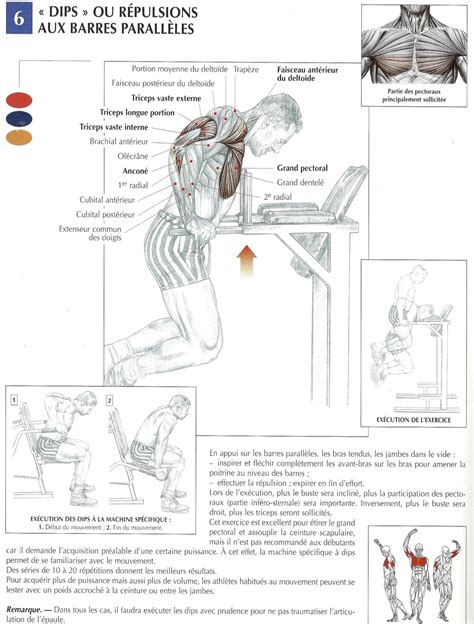 BPJEPS Musculation Réussir son BPJEPS