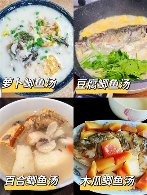 化疗后升白细胞吃什么食物效果好 哔哩哔哩