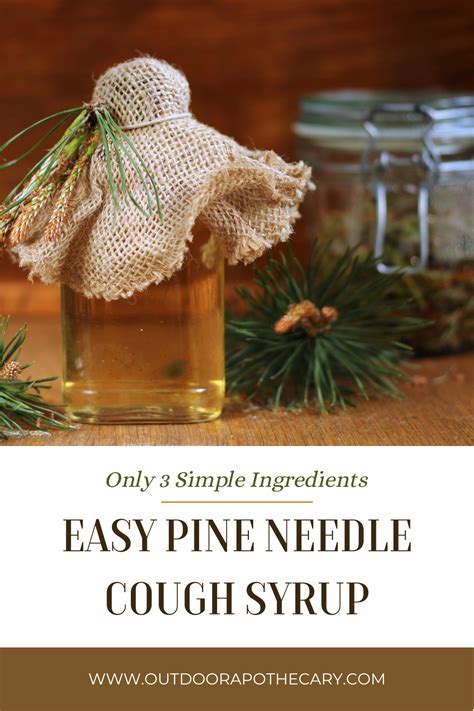 Pine Needle Cough Syrup Artofit