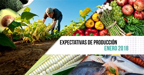 Expectativas de producción agropecuaria y pesquera avanzando a paso