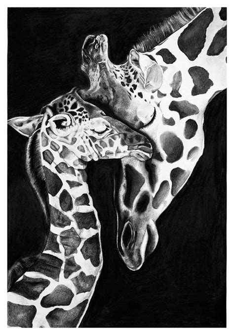 33 Best White Charcoal Drawing Images On Pinterest White Charcoal