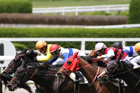 競馬の3連複が当たる確率とは？流しやフォーメーションの買い方もあわせて解説 おすすめ競馬予想サイト17選！みんなの競馬検証