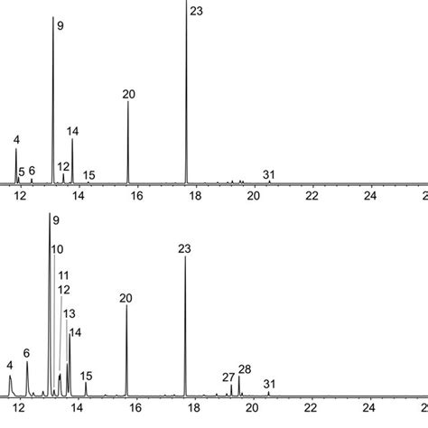 A Gcms Total Ion Chromatogram And B Py Gcms Total Ion