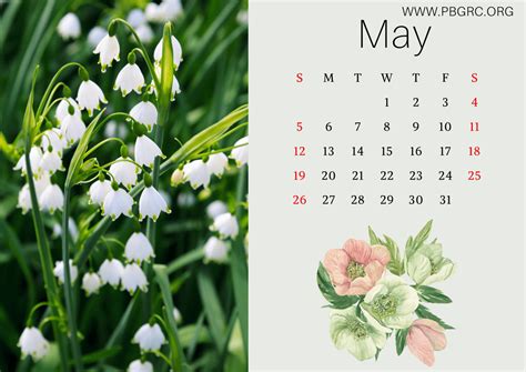 17 Cute 2024 Floral Calendar Printable Templates