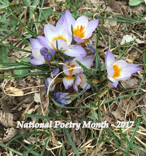 TeacherDance: #NPM17 - Poem 23 of 30 - Tiny Shoes