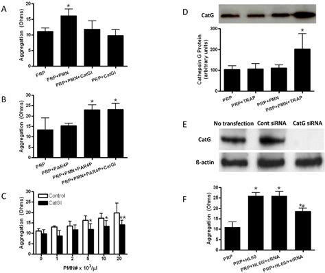 Neutrophil Cathepsin G Enhances Human Platelet Aggregation A