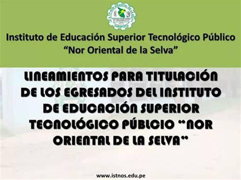 PPT LINEAMIENTOS PARA TITULACI N DE LOS EGRESADOS DEL INSTITUTO DE