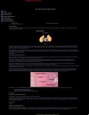 Understanding the Histology of the Adrenal Gland: Cortex and | Course Hero