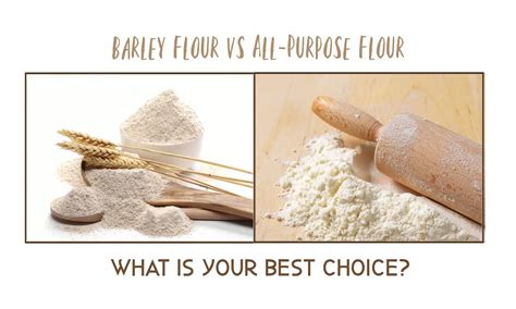 Barley Flour Vs All Purpose Flour The Ultimate Verdict The Coconut Mama