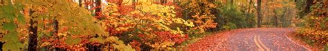 Fall Colors in the Smoky Mountains | Fall Foliage Around Pigeon Forge TN