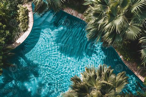 aerial pool view stock  images  backgrounds