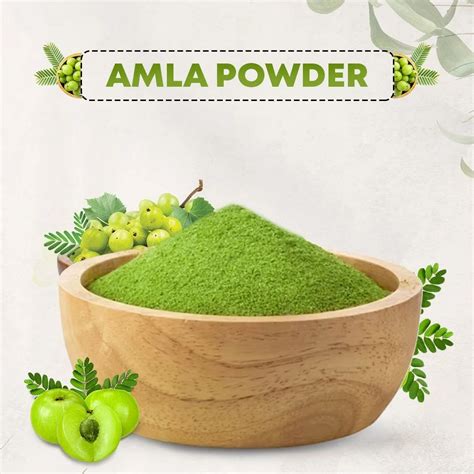 Amla Powder Kg At Rs Kg In Dabra Id