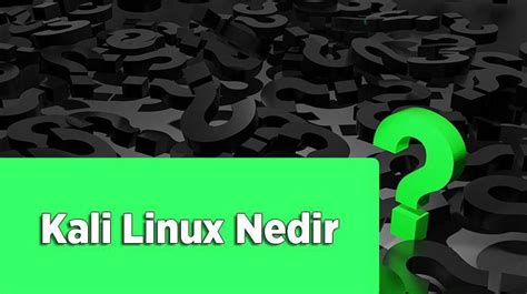 Kali Linux Nedir Ne İşe Yarar Kali Linux Nasıl Ve Neden Kullanılır