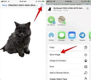 Ways To Remove Background From Image In Iphone Techwiser