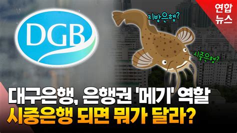 영상 5대은행 과점체제 깬다는데시중은행은 뭐고 지방은행은 뭐지 연합뉴스