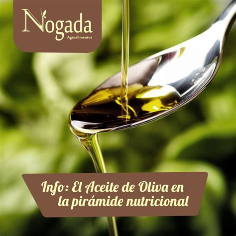 Nogada Gourmet El aceite de oliva en la pirámide nutricional Nogada