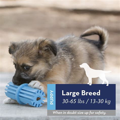 kong dog teething toys 9