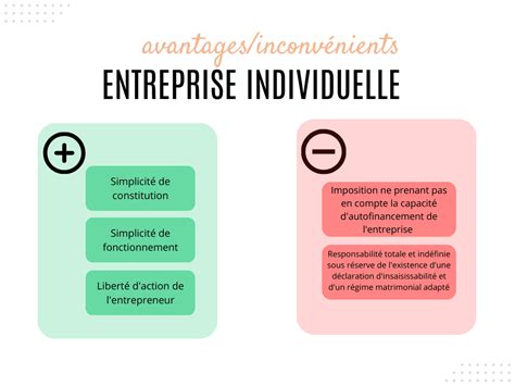 Statut Entreprise Individuelle Ou Micro Entreprise