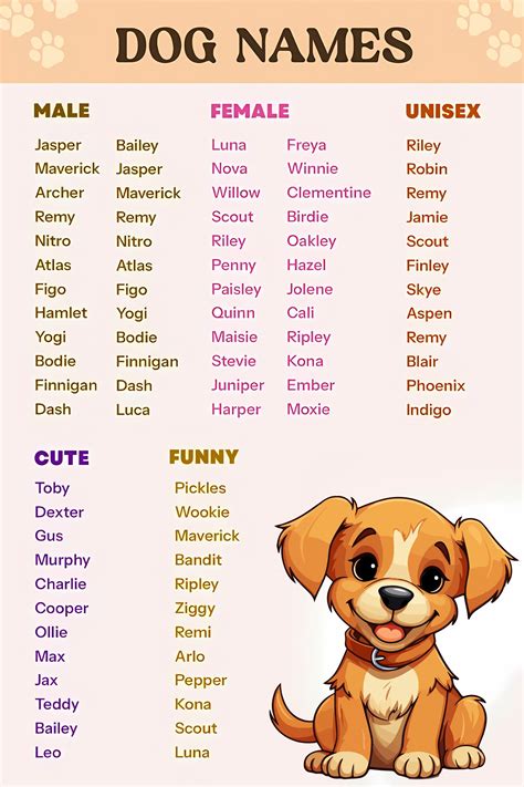 Names for male dogs – Artofit