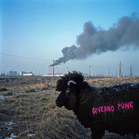 GOVERNO PUNK Single By Bnkr44 Spotify