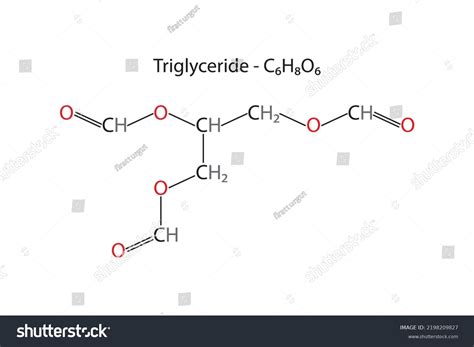 Glycerol And 3 Fatty Acids Over 11 Royalty Free Licensable Stock