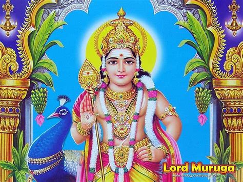 Lord Muruga 3D Kartikeya HD Wallpaper Pxfuel