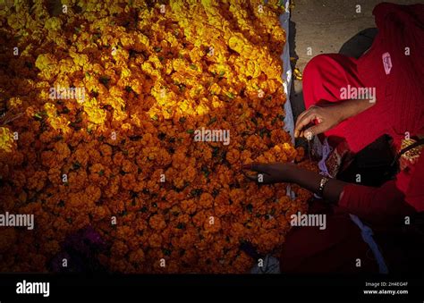 Kathmandu Bagmati Nepal Nd Nov A Woman Prepares Garland Of