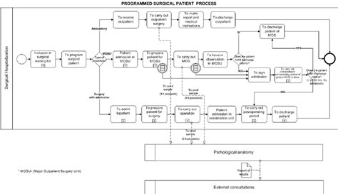 Programmed Surgical Patient Process Model Download Scientific Diagram