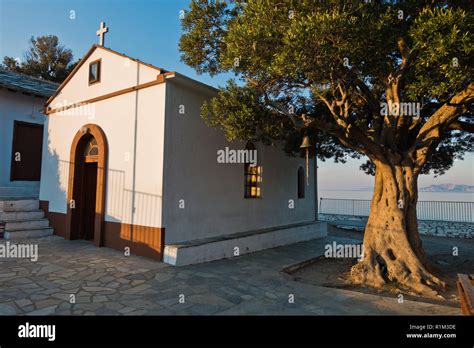 Olive tree and the church of Agios Ioannis Kastri at sunset, famous ...