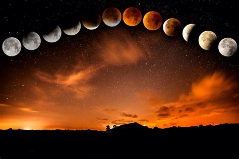 Career Alignment - Purposeful Professional Development