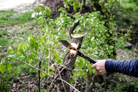 How To Cut Wood Without A Saw Best Alternative Ways