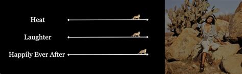 Safari Seduction A Lesbian Romance Passport To Love Book 1 Kindle Edition By Hart Lauren