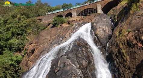 Dudhsagar Falls Trek - A Do It Yourself Guide - Bikat Adventures