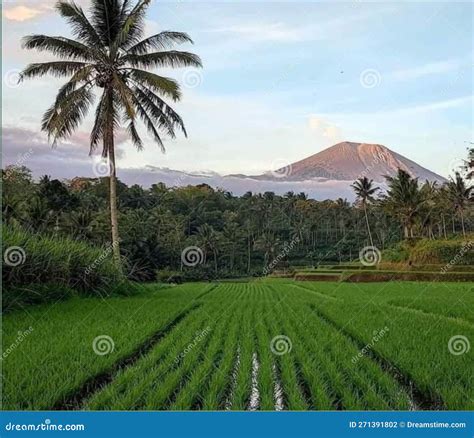 view  natural beauty  aceh indonesia stock photo image