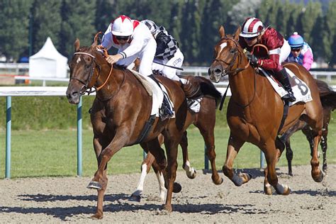 Quinté vendredi 10 janvier 2025 à Deauville Pronostics TURF FR