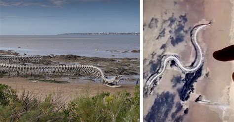 Was A Giant Snake Skeleton Found On Google Maps Snopes