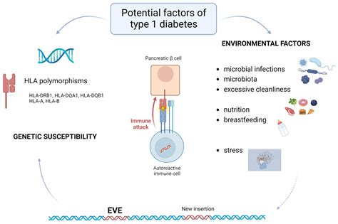 Ijms Free Full Text Contribution Of Retrotransposons To The Pathogenesis Of Type 1 Diabetes