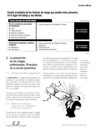 Manual Basico De Prevenci N De Riesgos Pdf