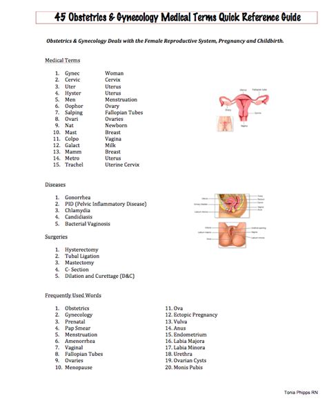 Easy Medical Terminology Medical Terminology Word Leukorrhea Free