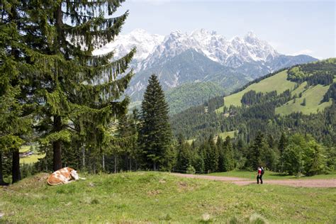 London to Tirol, Austria – City to the Mountains