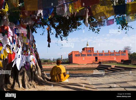 Vista trasera de un monje sentado bajo el árbol de Bodhi Templo Maya