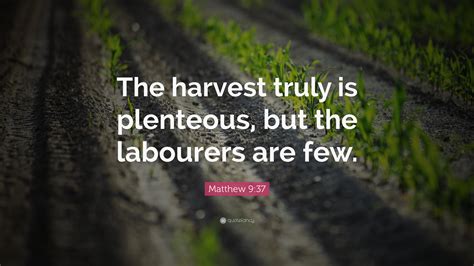 Matthew 9:37 Quote: “The harvest truly is plenteous, but the labourers ...