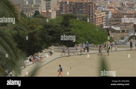 Green Trees Of Park Guell In Barcelona Stock Videos Footage HD And