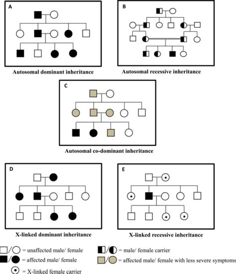 Modes Of Inheritance Pedigrees With Autosomal Dominant Open I