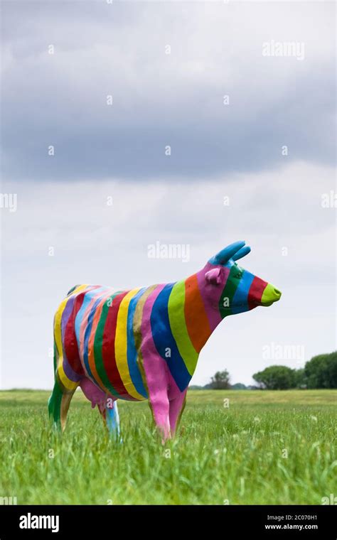 full size plastic  painted    colors   rainbow