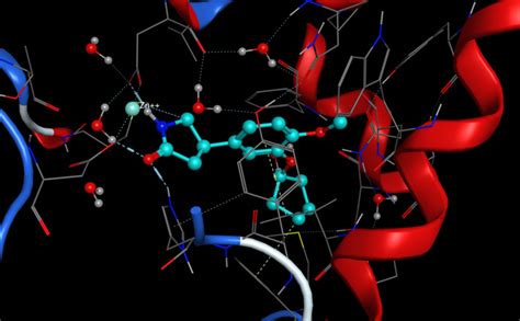 分子模拟软件moe教程 分子对接及虚拟筛选 知乎