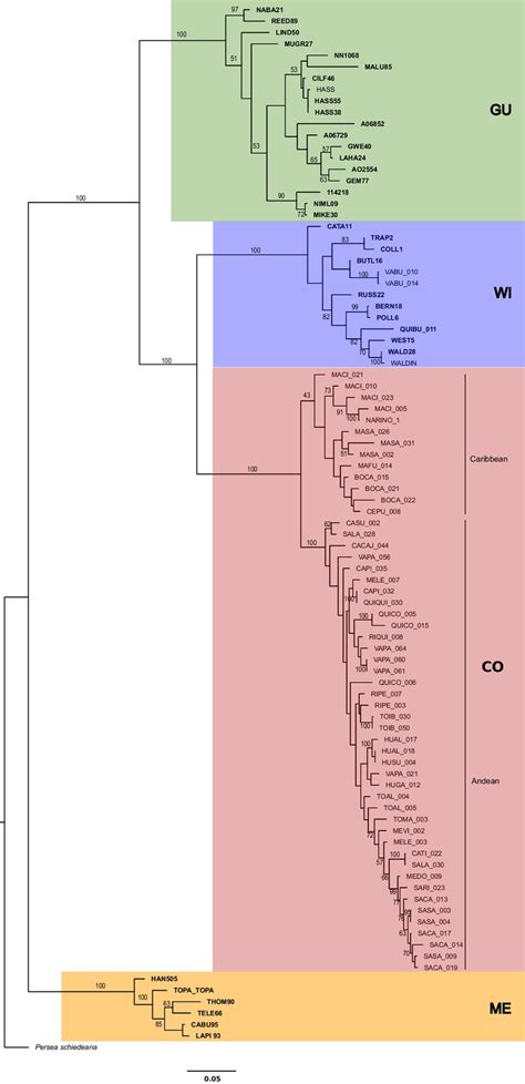 Maximum Likelihood Phylogenetic Tree Showing The Relationships With