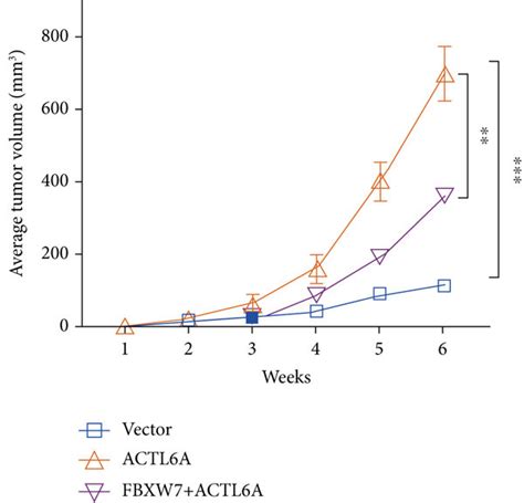 Fbxw7 Regulates Actl6a Expression Levels To Inhibit Hcc Growth In Vivo Download Scientific