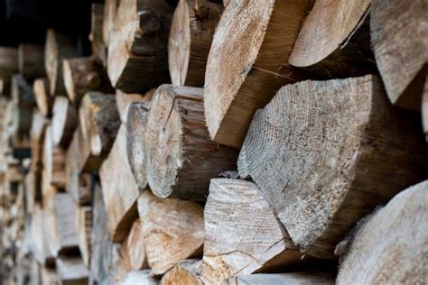 Pilha De Madeira Formando Uma Parede Problemas De Ecologia E